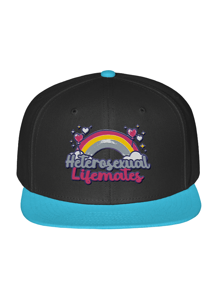 'Heterosexual Lifemates' Snapback product image (1)