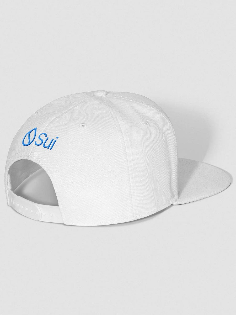 Snap back product image (5)