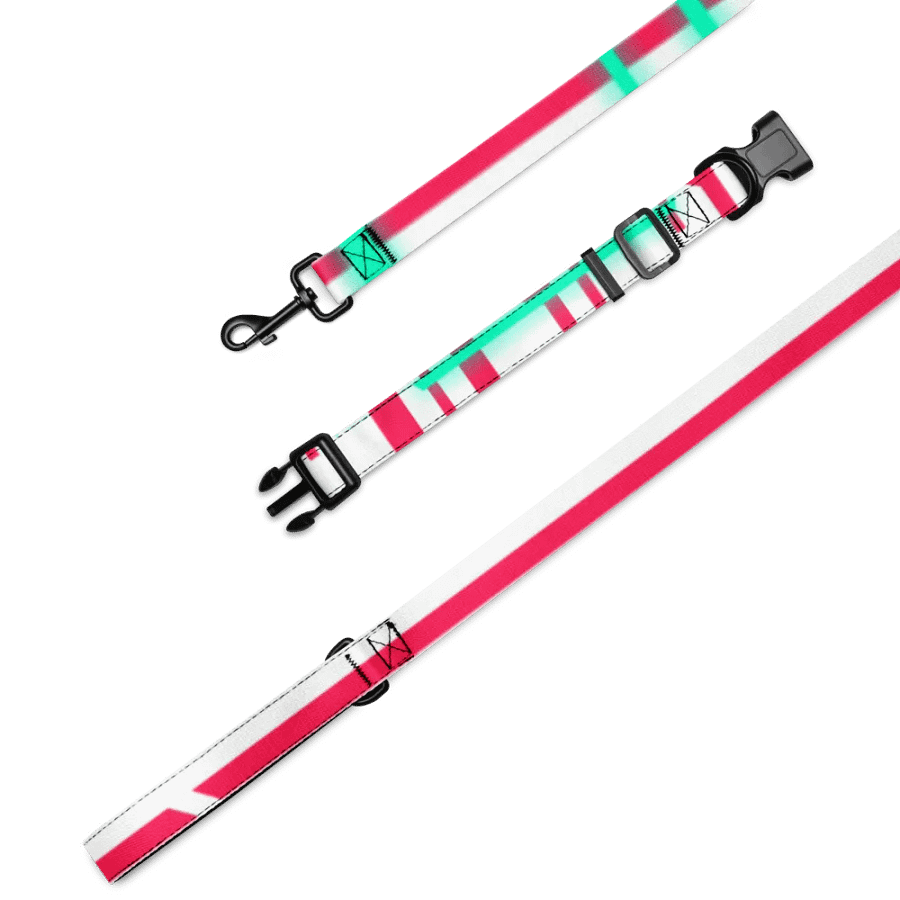Cyberia Pet Collar and Leash product image (4)