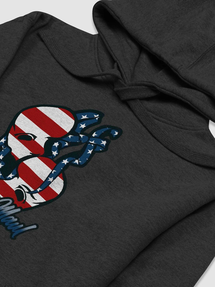 USA Big Logo Premium Hoodie product image (36)
