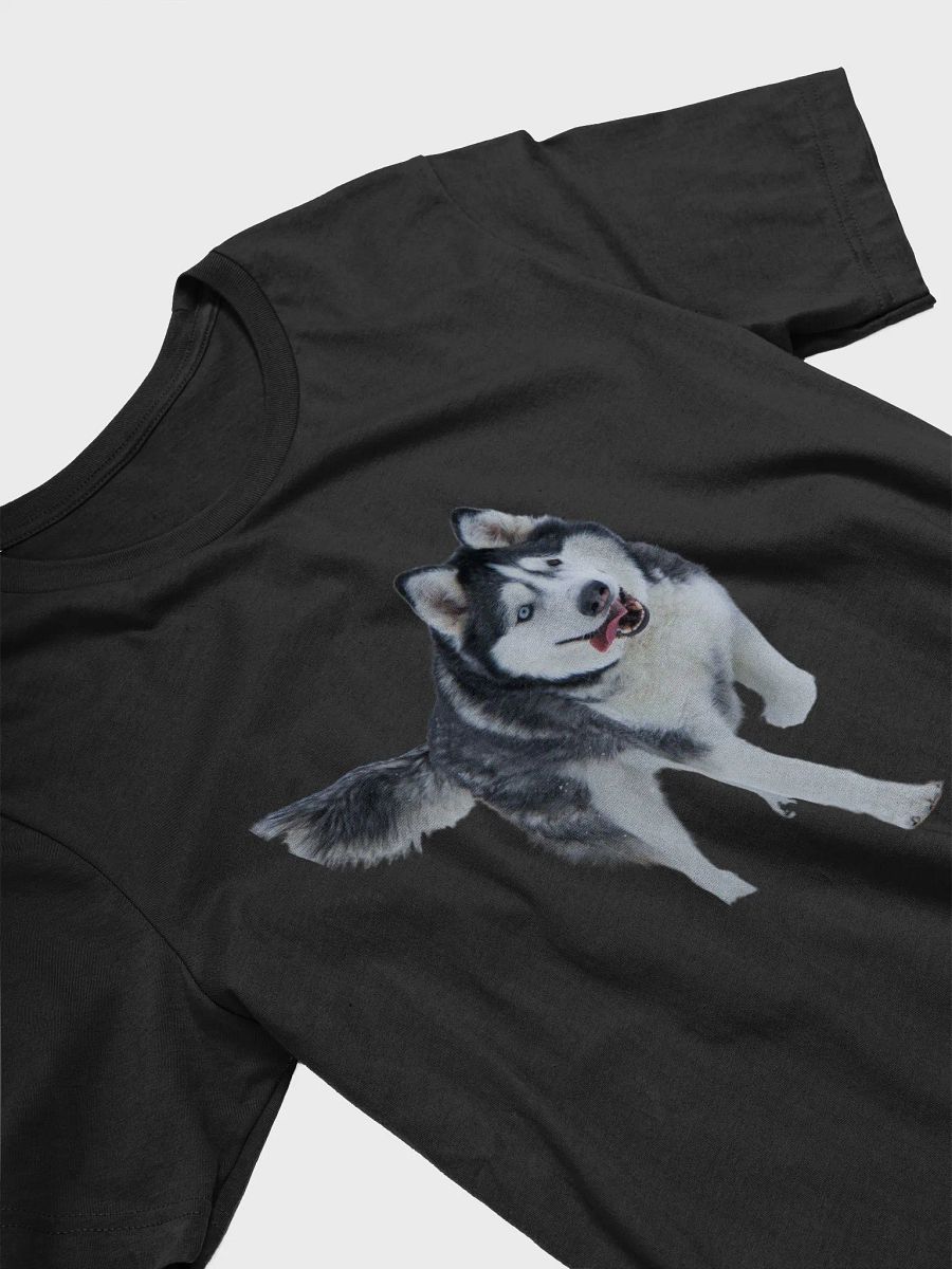 Two different colored eyes Siberian Husky in the Snow product image (25)