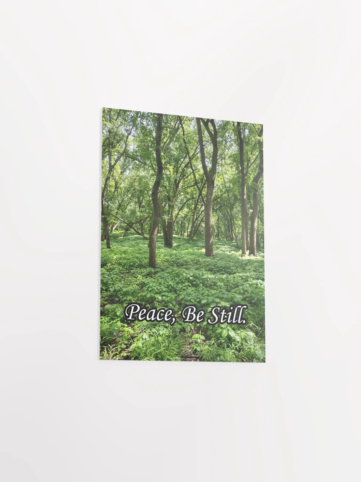 Peace, Be Still - Print product image (8)