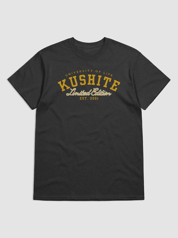 Kushite University product image (1)