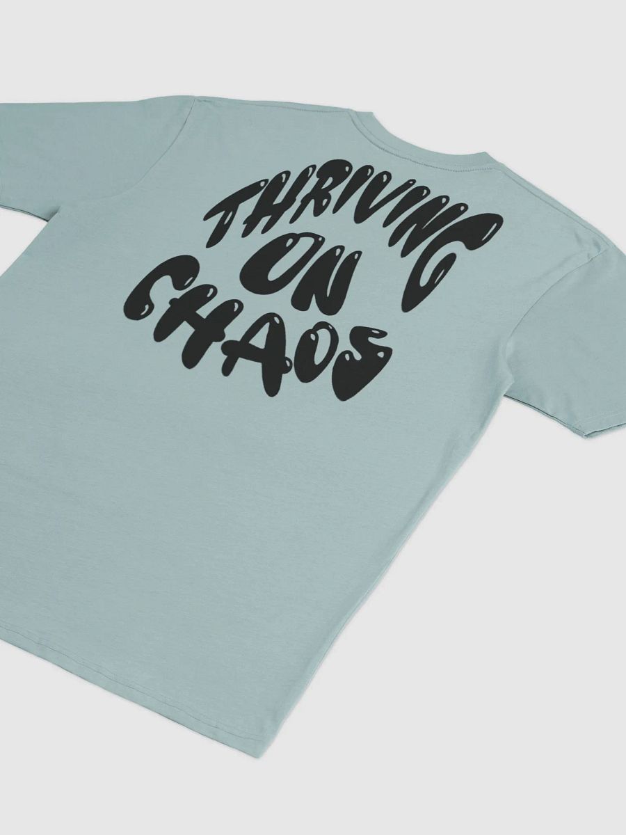 Thriving on Chaos product image (12)