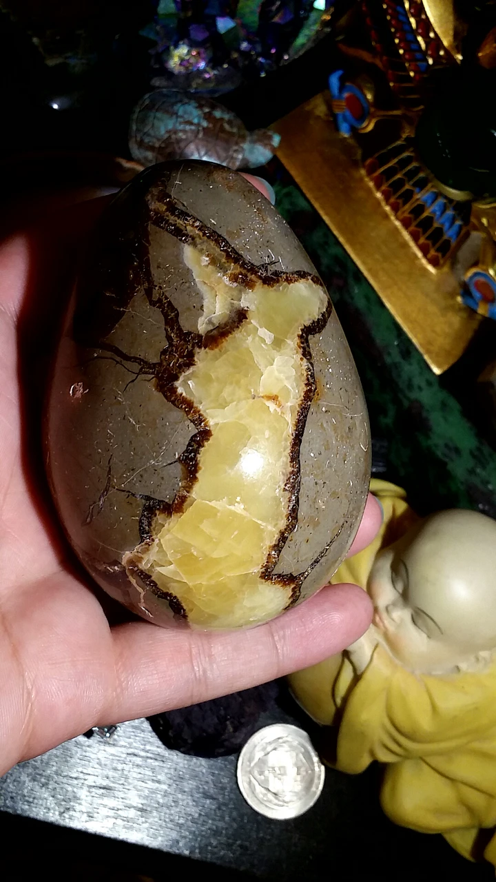 473.4g Septarian Egg product image (2)