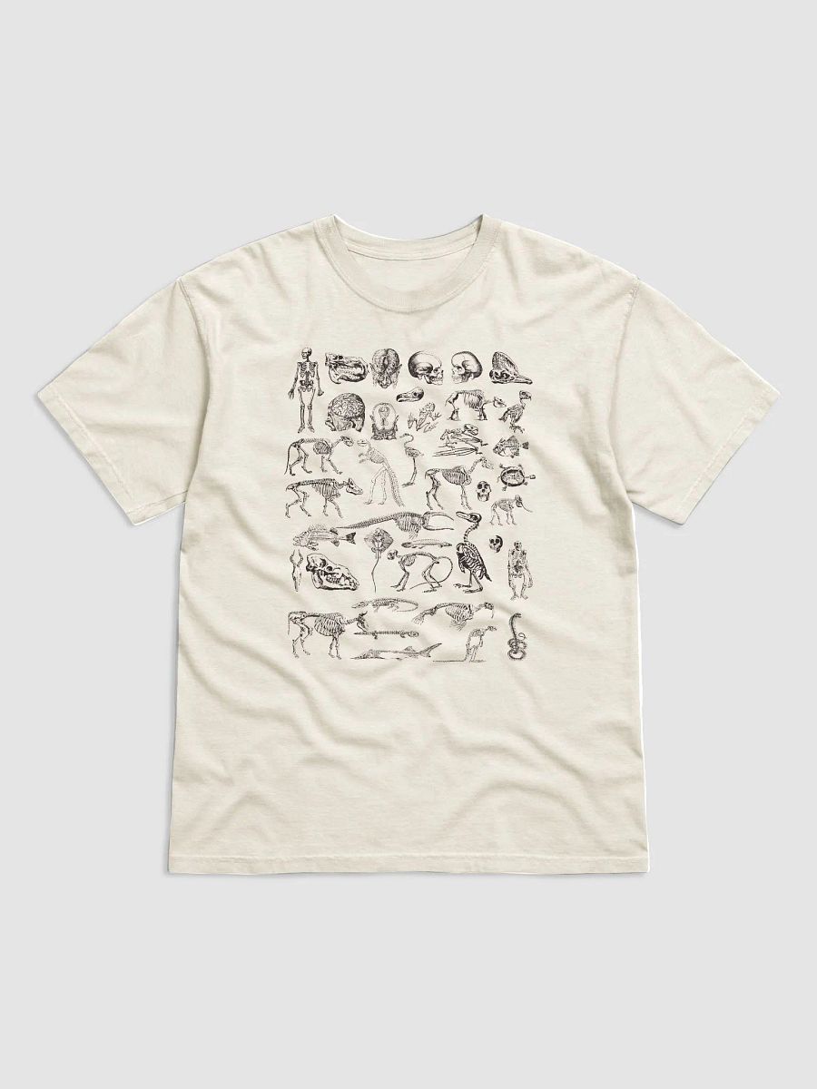 Vintage-Style Human and Animal Skeletons T-Shirt | Vintage-Style Dark Academia Shirt for Osteology and Anthropology Enthusiasts product image (12)