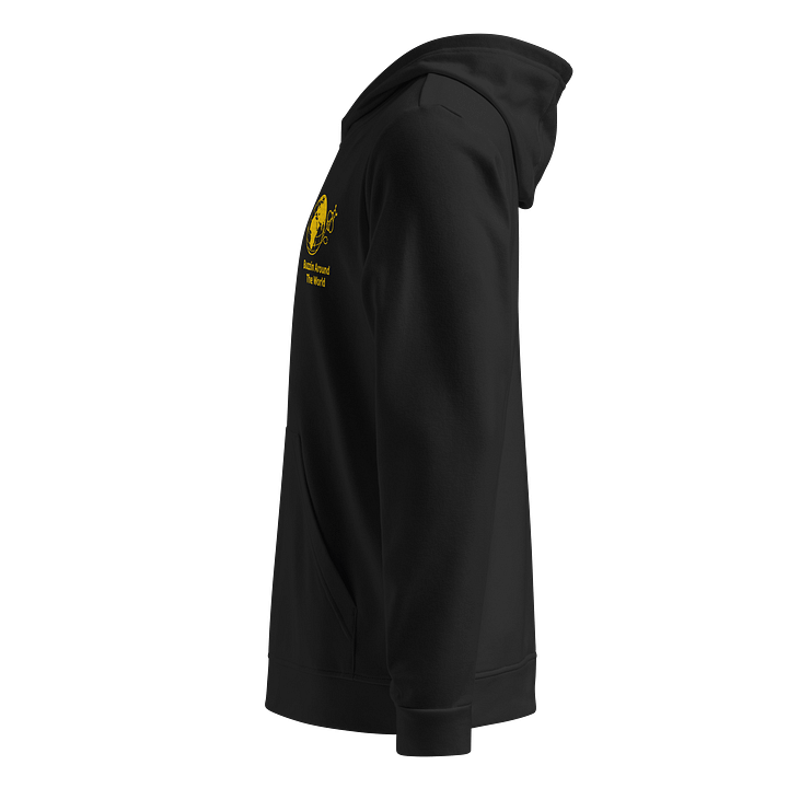 Buzzin Around the World - Embroidered Hoodie product image (4)