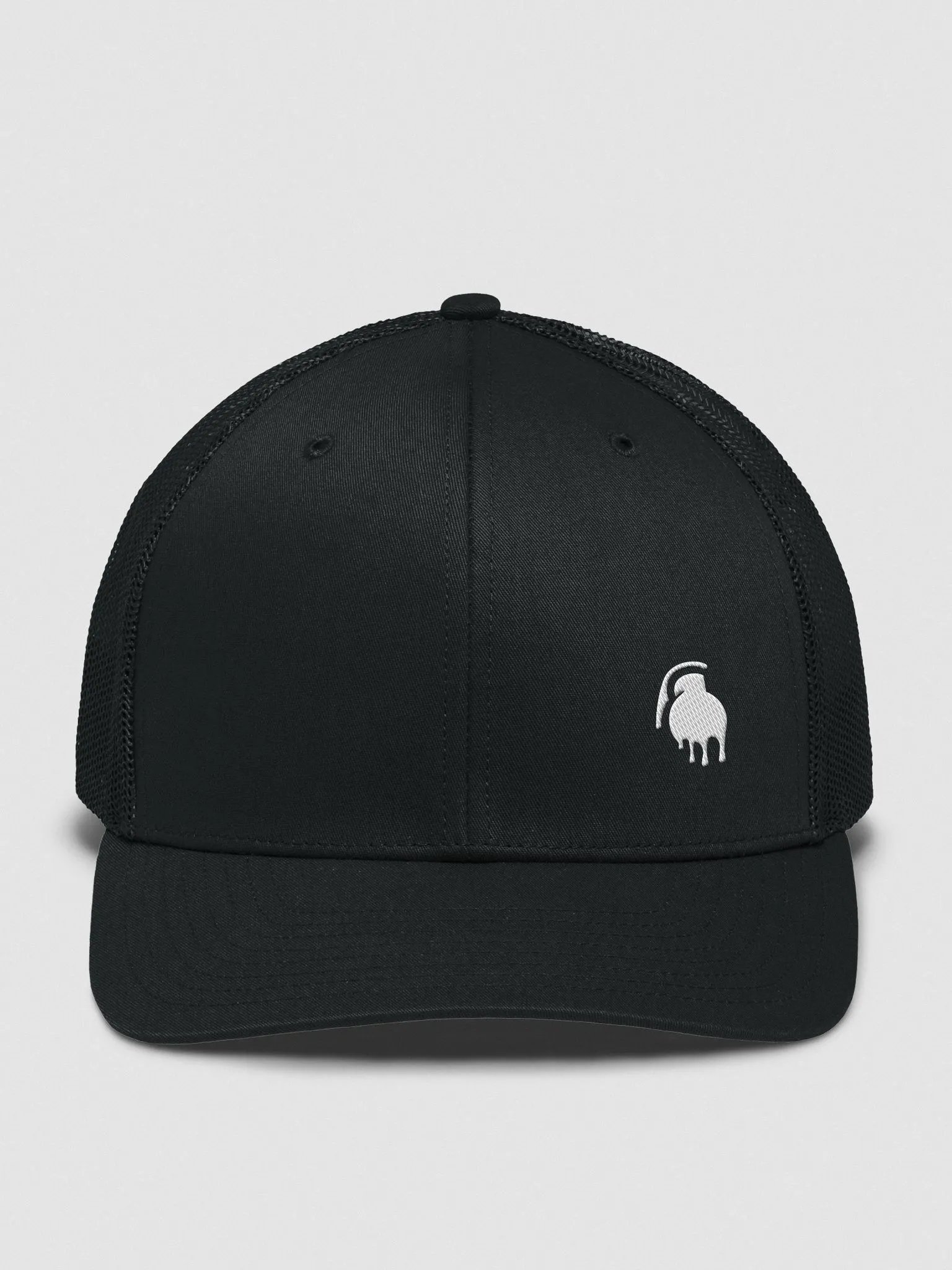 Snap-Back Hat (Multiple Colors) product image (2)