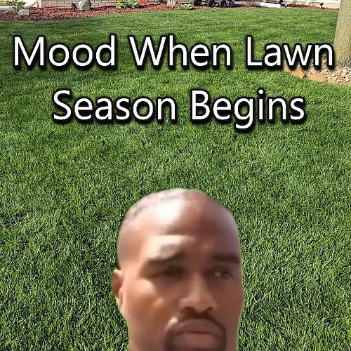 There is definitely a different mood from the beginning of spring when the lawn is perfect to when you have to start battling...