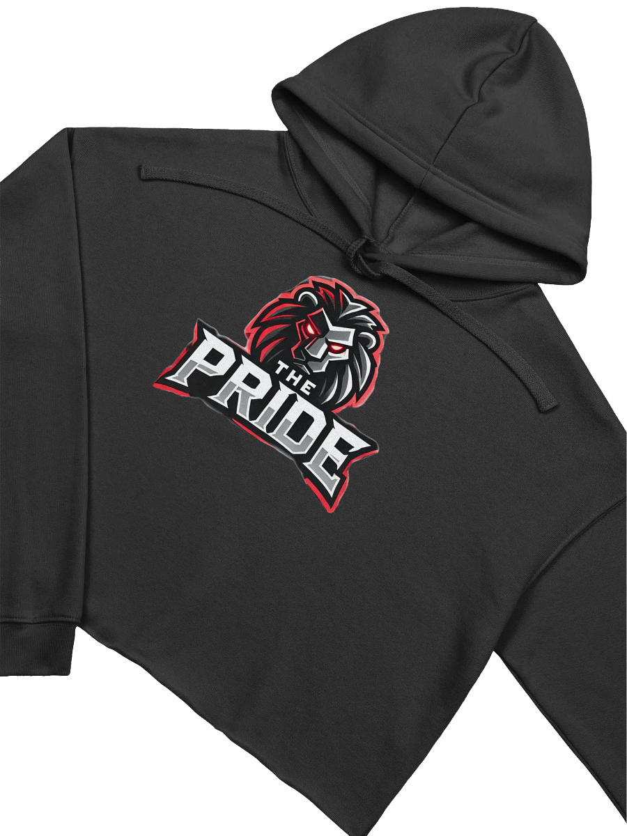 The Pride Women's Fleece top hoodie product image (6)