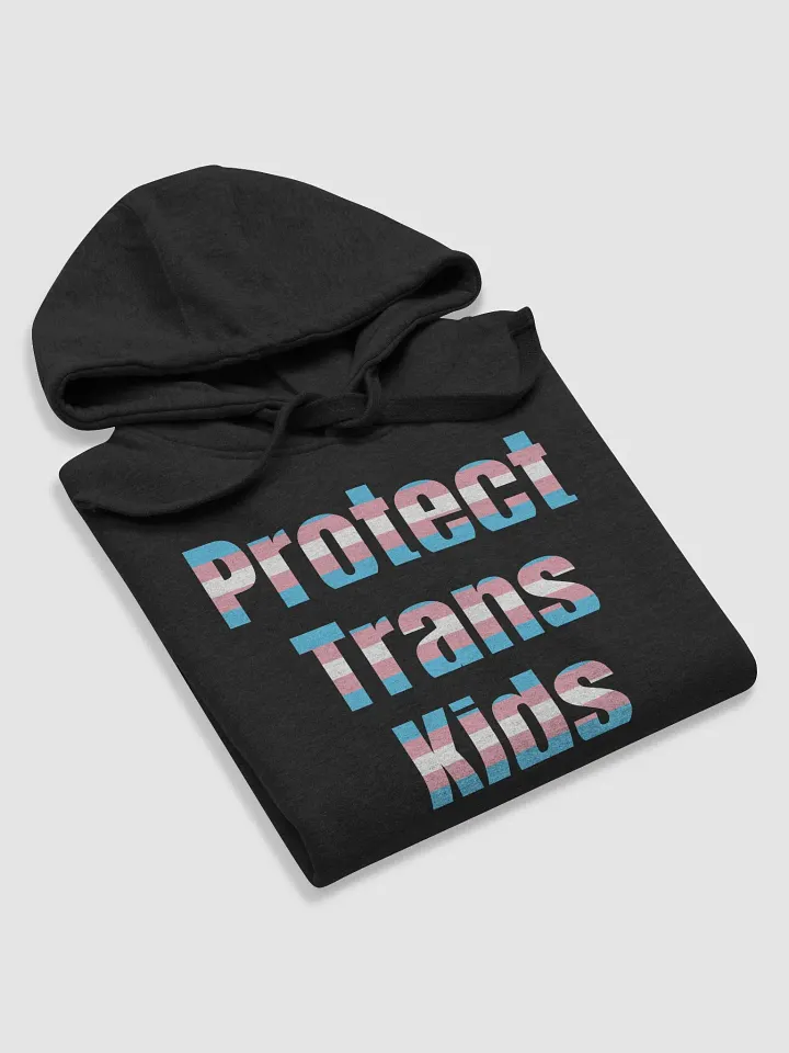 Protect Trans Kids Hoodie product image (1)