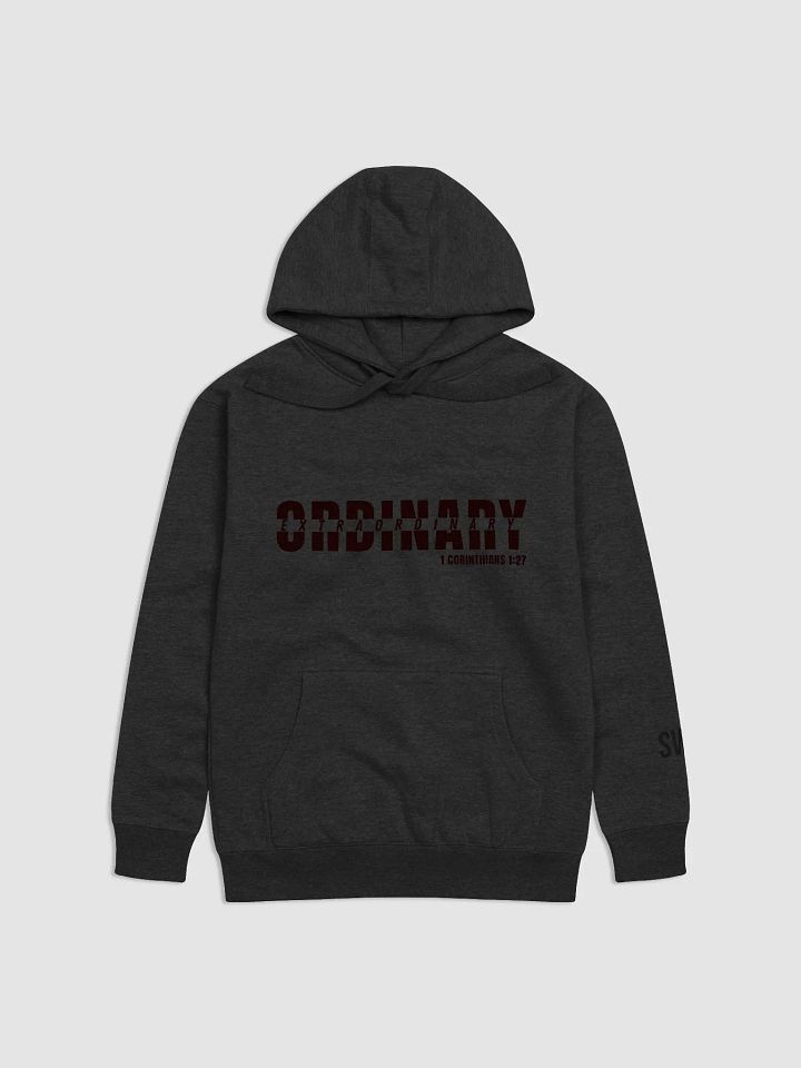 The Ordinary Hoodie product image (4)