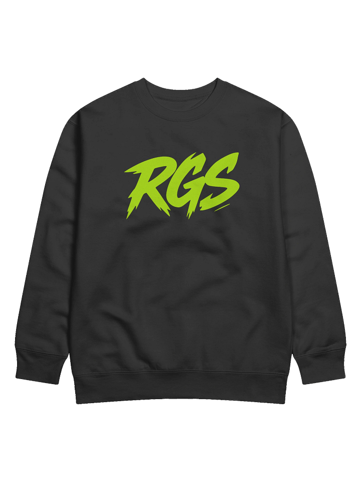 RGS Gamer Sweatshirt – Indie Spirit Pullover product image (1)