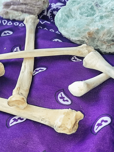 Osteomancy Reading product image (1)