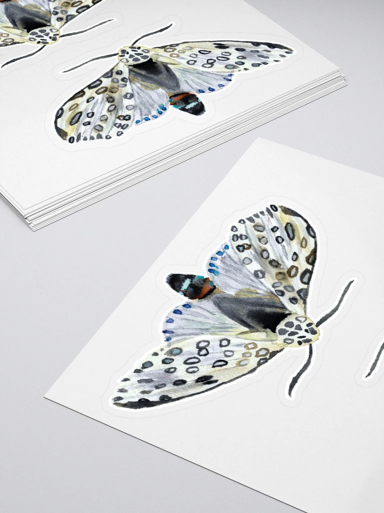Giant Leopard Moth Sticker (x2) product image (4)