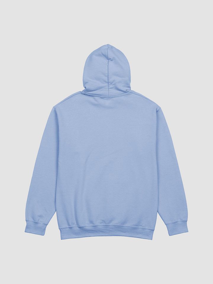 Turt. Chill. Repeat. Hoodie product image (44)