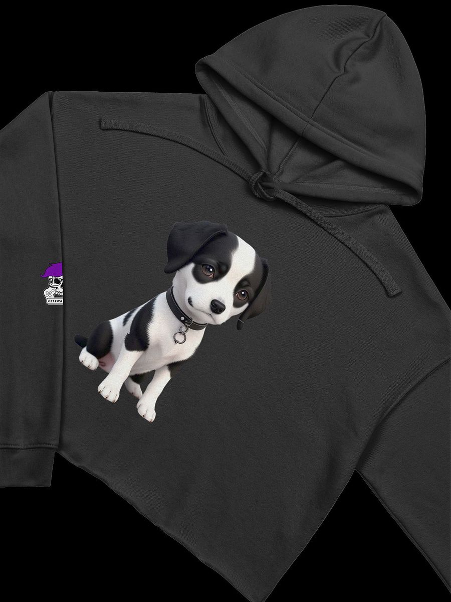 WallE Crop Hoodie product image (3)
