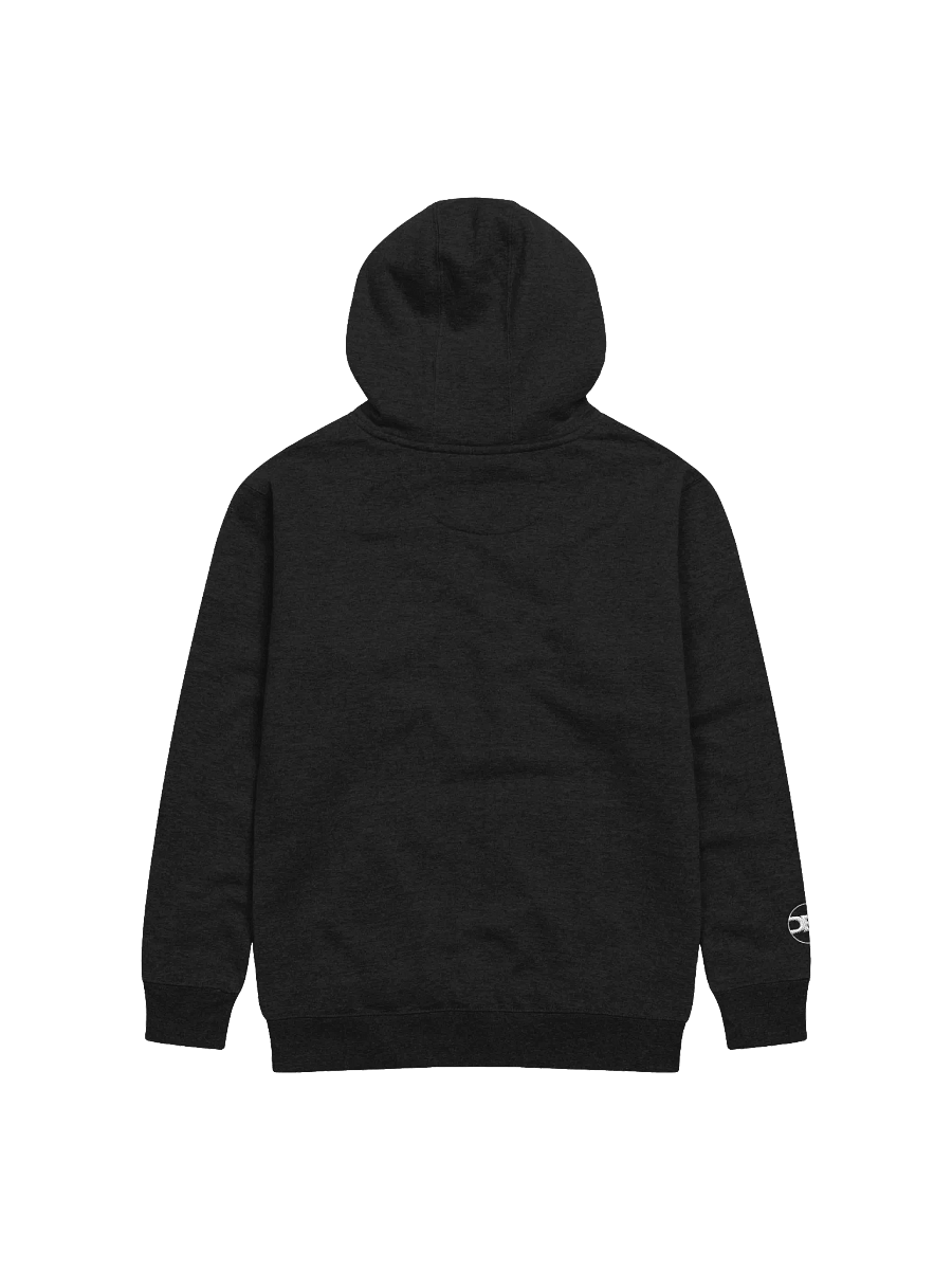 Trilingual Hoodie product image (3)