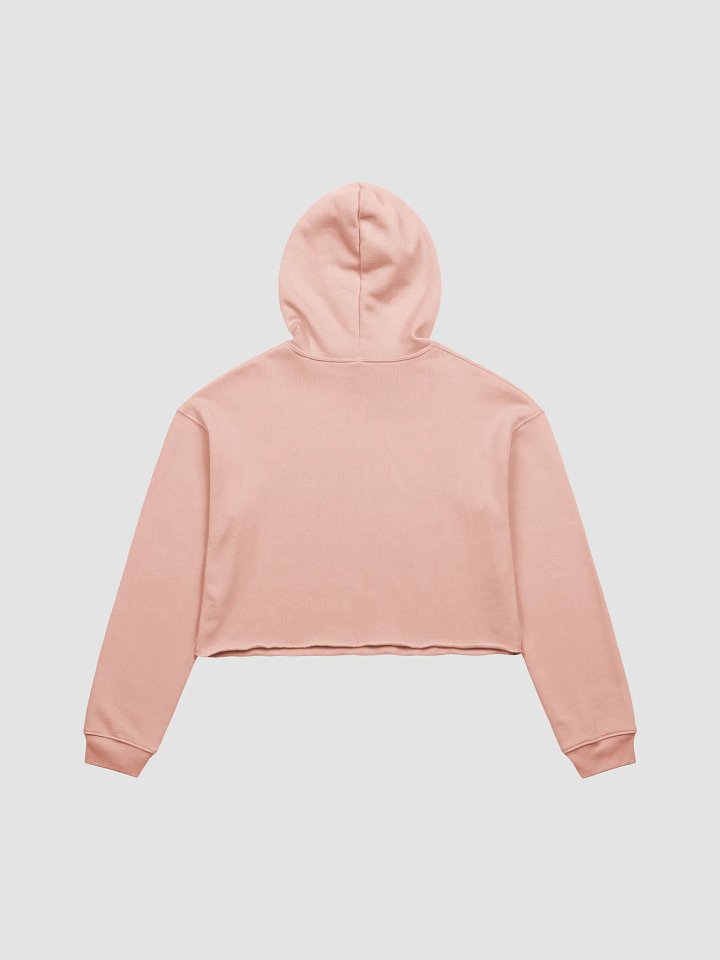 Whimsical Panda Crop Hoodie product image (22)