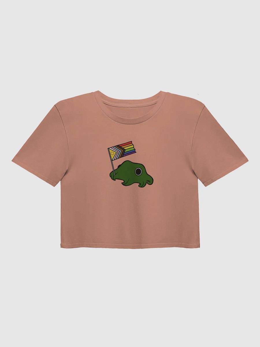 Council Pride Flag Crop Top product image (9)