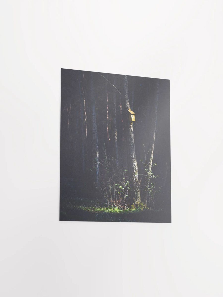 The Bird Box product image (8)