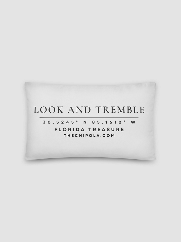The Coordinates Pillow product image (2)