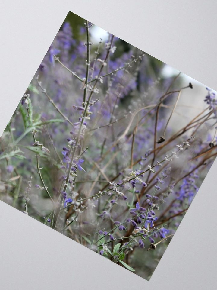 A Study in Flowers 13 - sticker version product image (6)