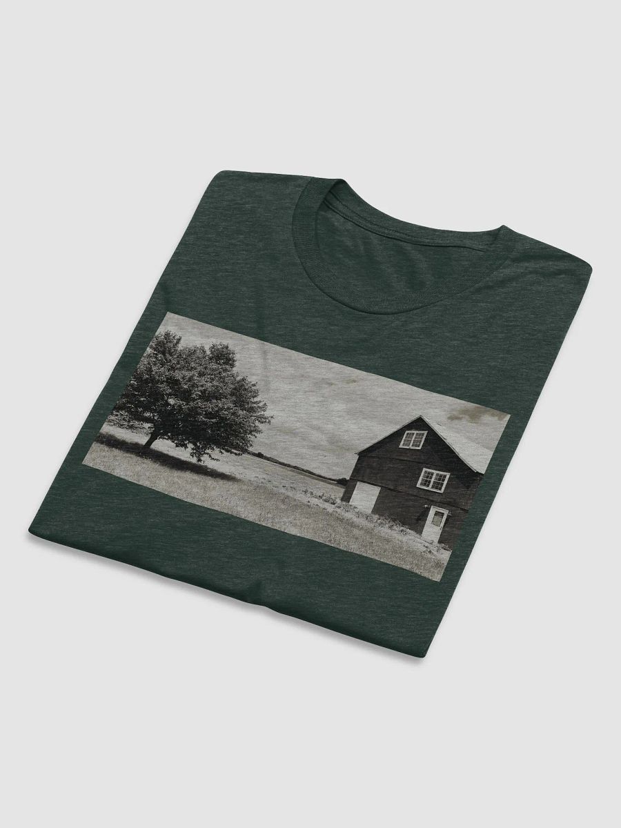 Mens Red Barn Cavaliers Fitted Triblend T-Shirt by Bella+Canvas (Designed by Drew) product image (5)