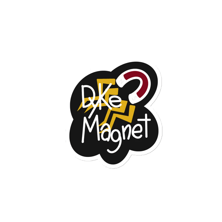 A magnet for a magnet product image (2)