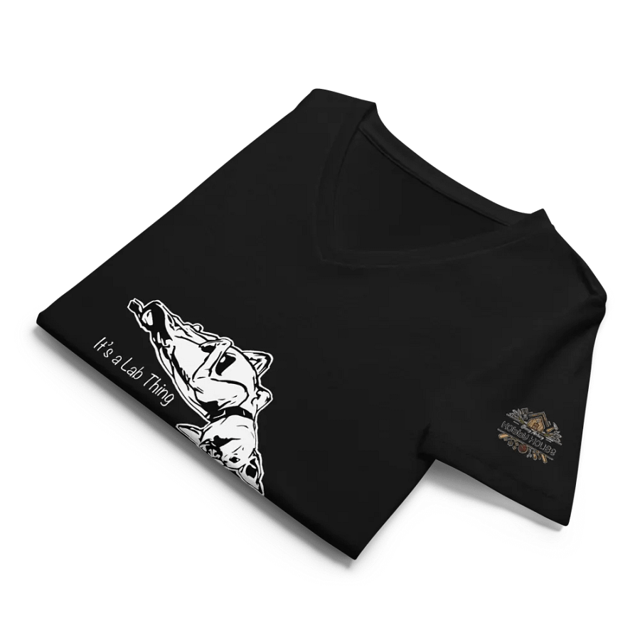 It’s a Lab Thing | Women’s V-Neck T-Shirt product image (6)