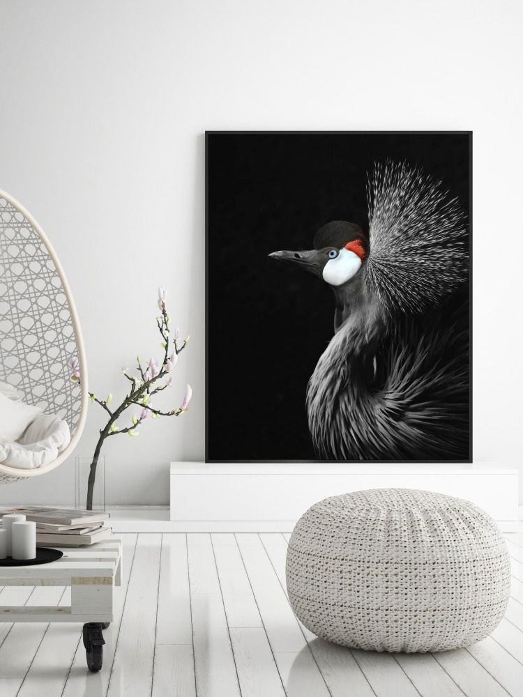 Black Crowned Crane - limited edition product image (2)