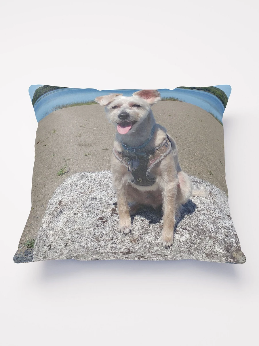 Mozzie At The Lake Throw Pillow product image (2)