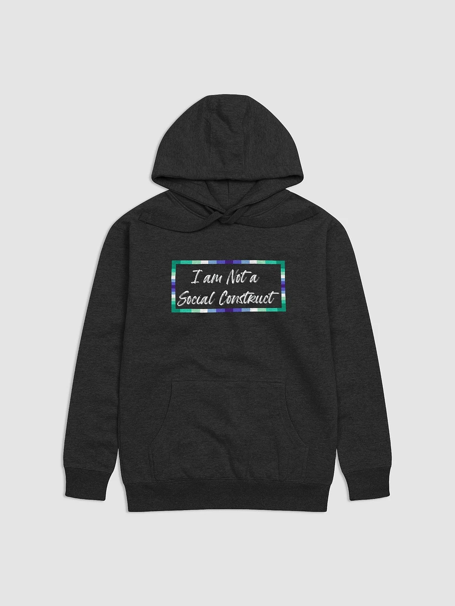 I am Not a Social Construct - Gay - Hoodie product image (1)