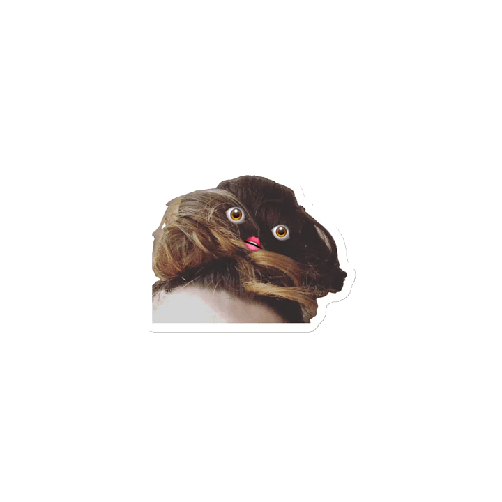 MoBun Magnet product image (1)