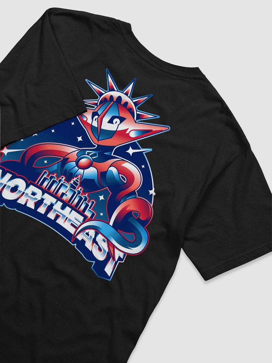 Team US Northeast T-Shirt product image (3)