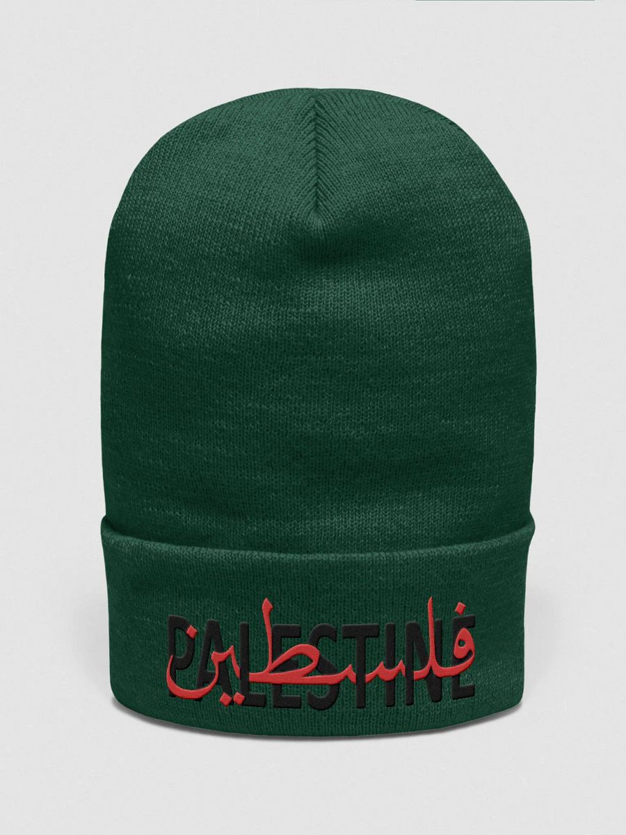 Palestine Beanie product image (1)