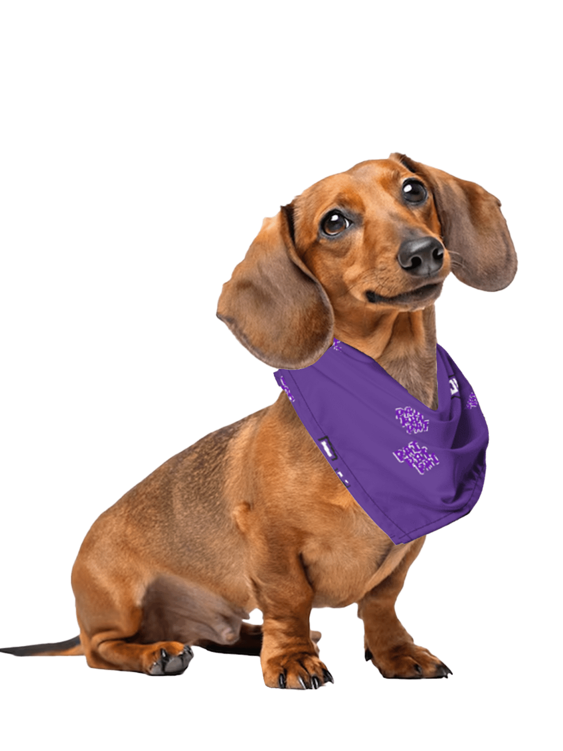 PatPatPat Pet Bandana product image (1)