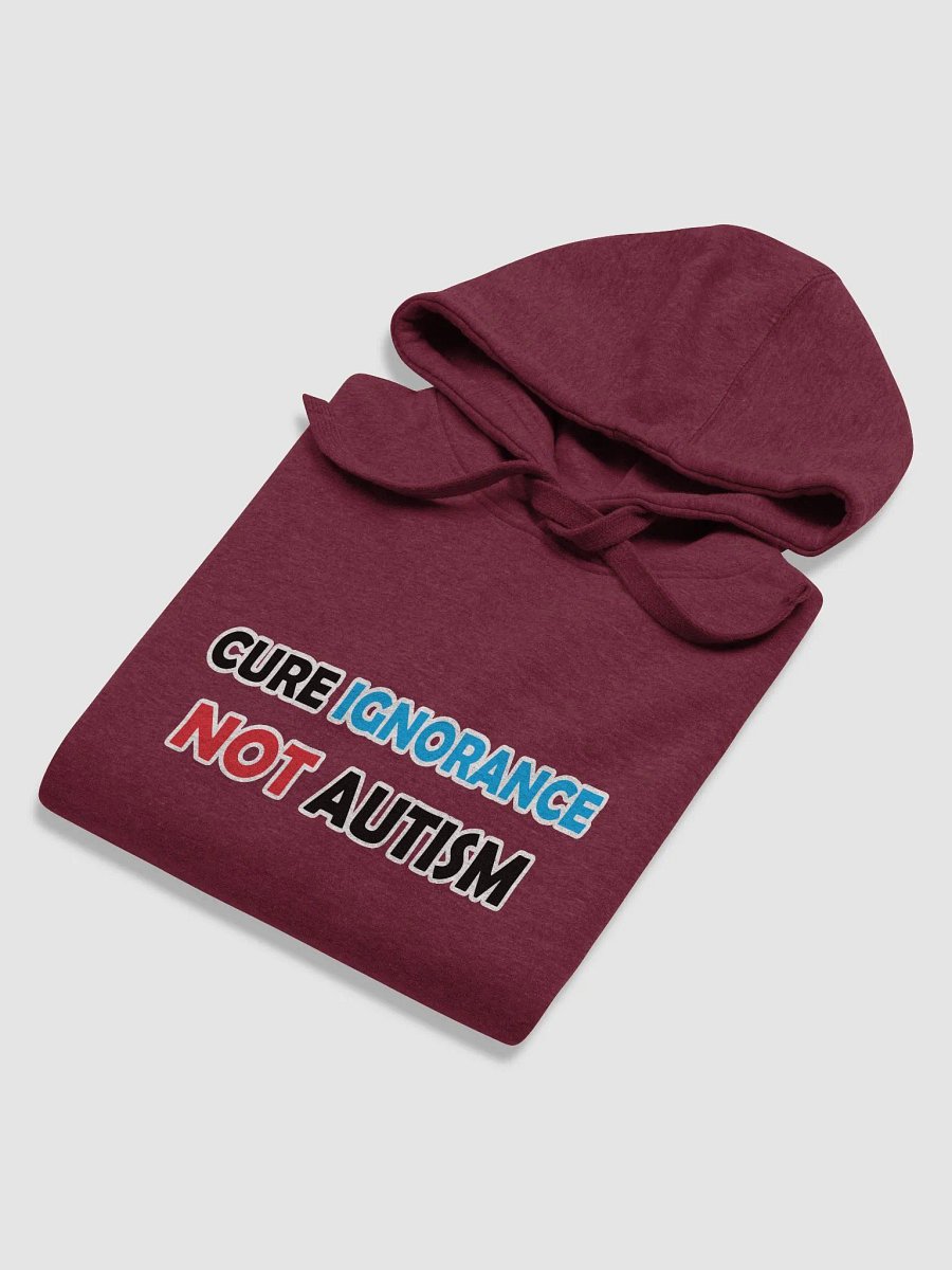 Cure Ignorance Not Autism Hoodie product image (16)