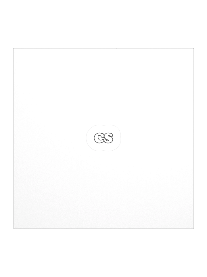 CS Sticker product image (1)