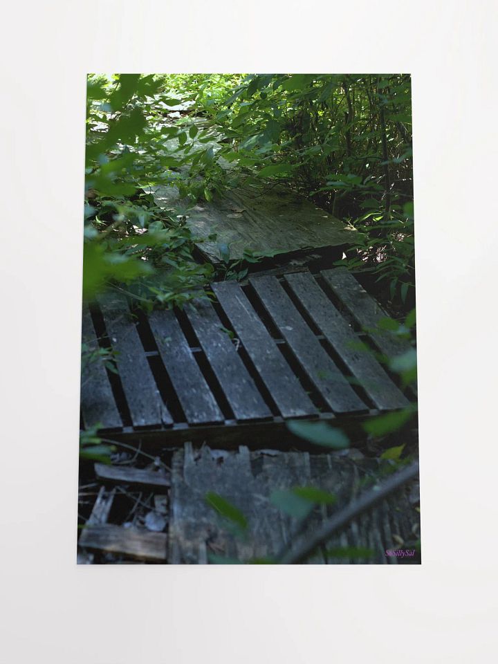 Plank (paper poster) product image (1)