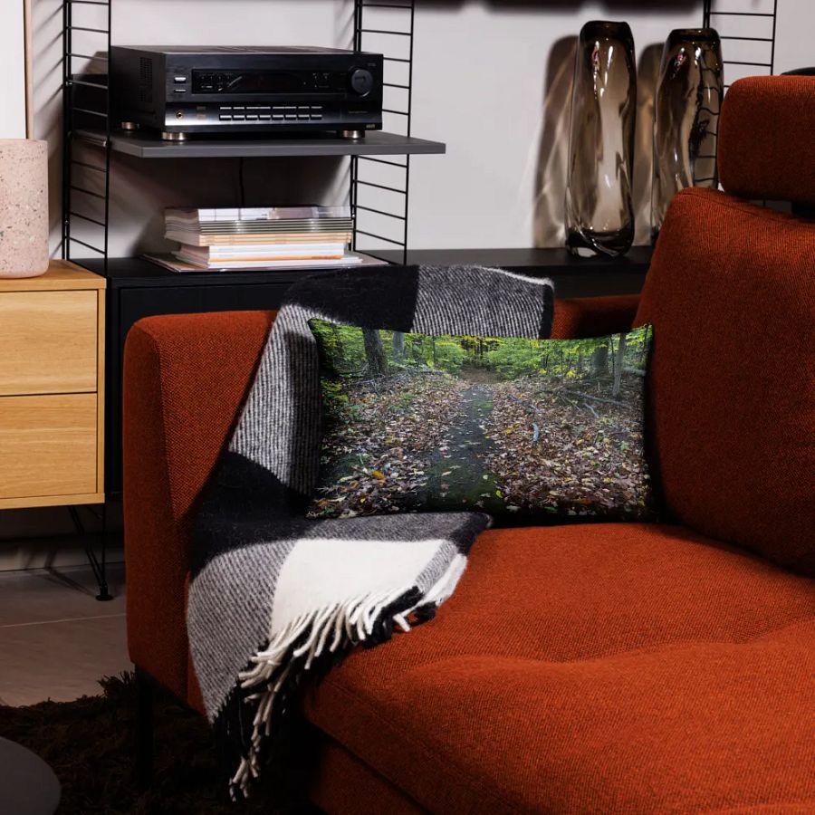 Fall Trail Pillow product image (7)