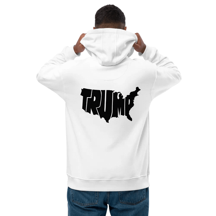 Landmark USA Hoodie product image (2)