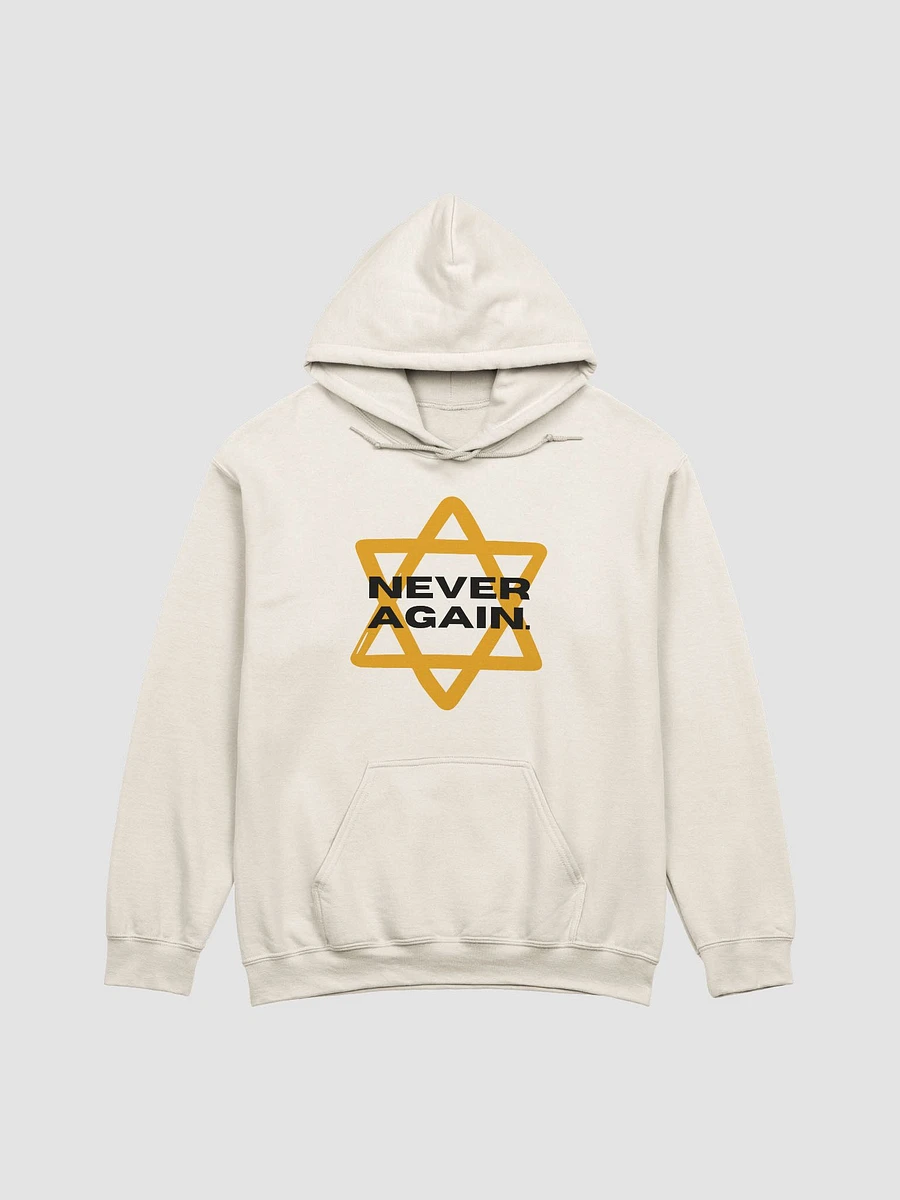 Never Again Hoodie product image (6)