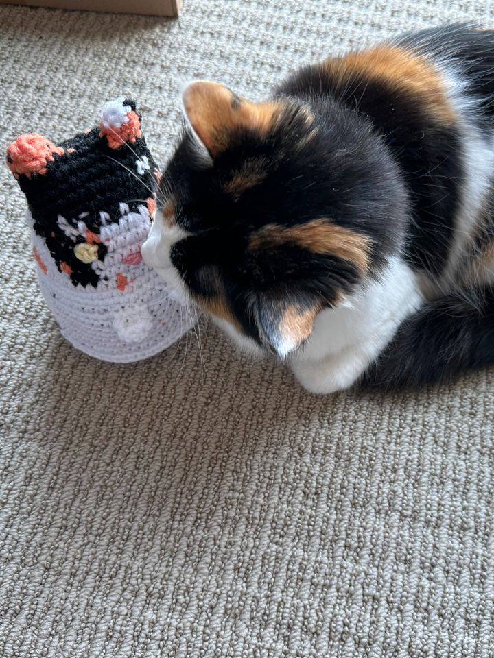 Custom Dumpling Cat (PREORDER) product image (1)