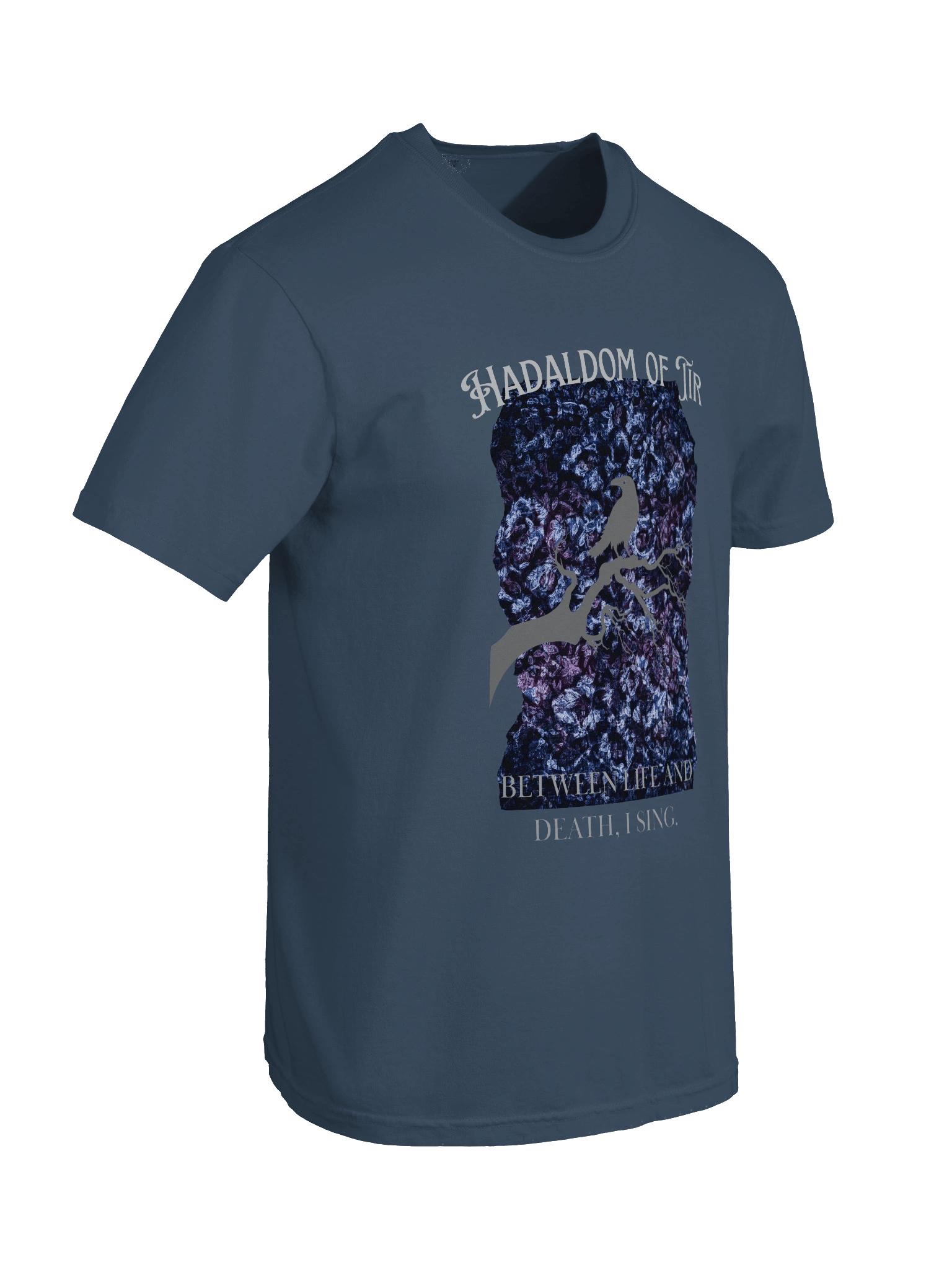 Mystic Raven Comfort Tee product image (30)