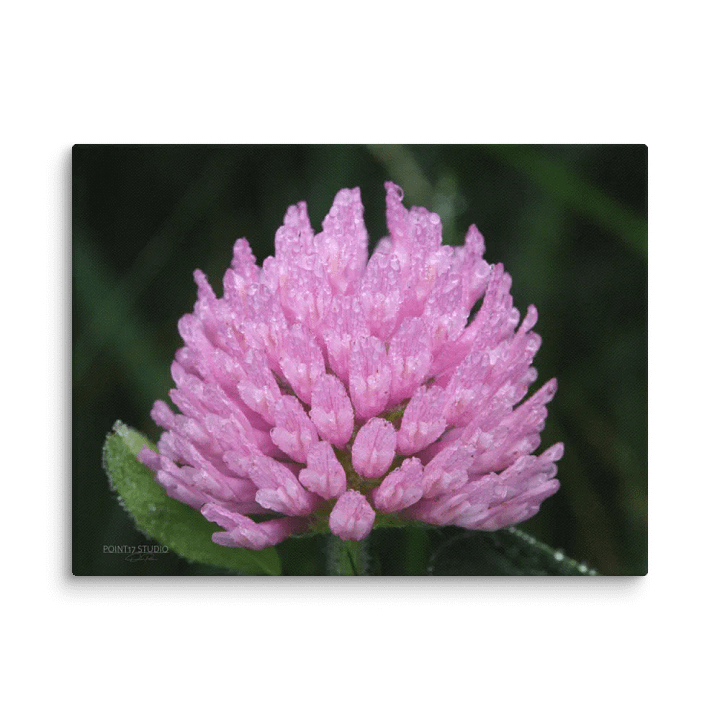 Soaked Purple Clover - Print On Canvas product image (1)