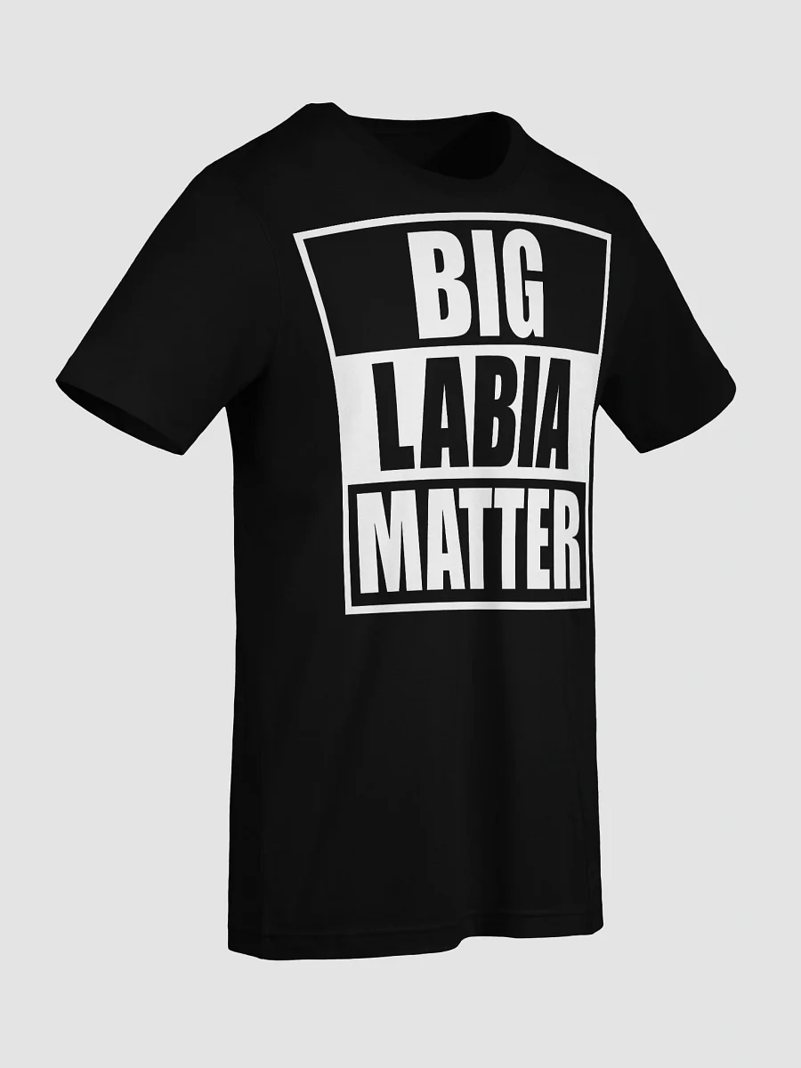 BIG LABIA MATTER T-SHIRT product image (3)