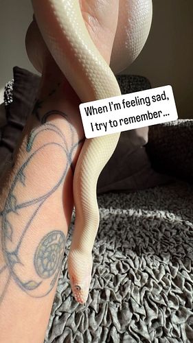 Perspective is everything. The little joys matter. 
****
->Follow @snaketherapy_shiraloa and *SUBSCRIBE ON YOUTUBE* (@ Snake_...