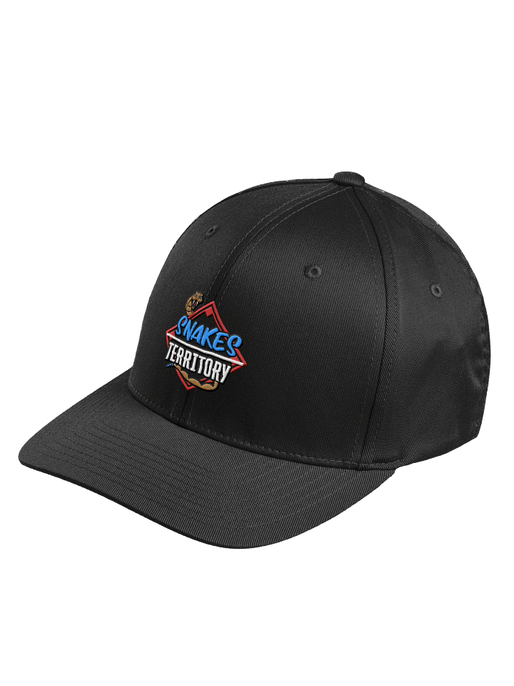 Fitted Hat product image (3)