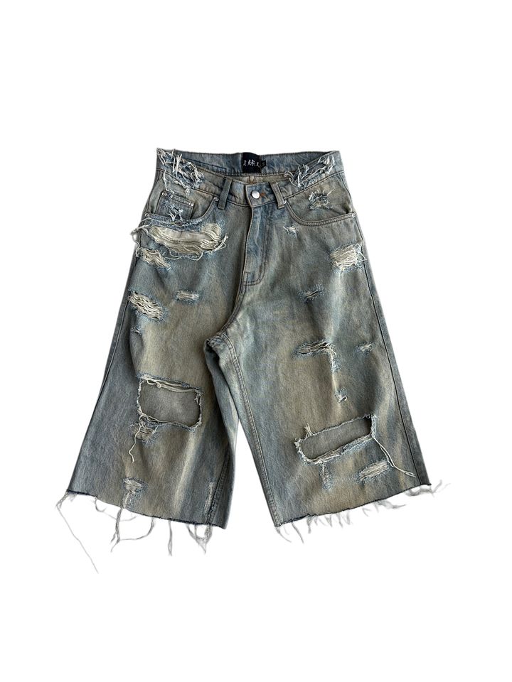Destroyed Jorts product image (1)